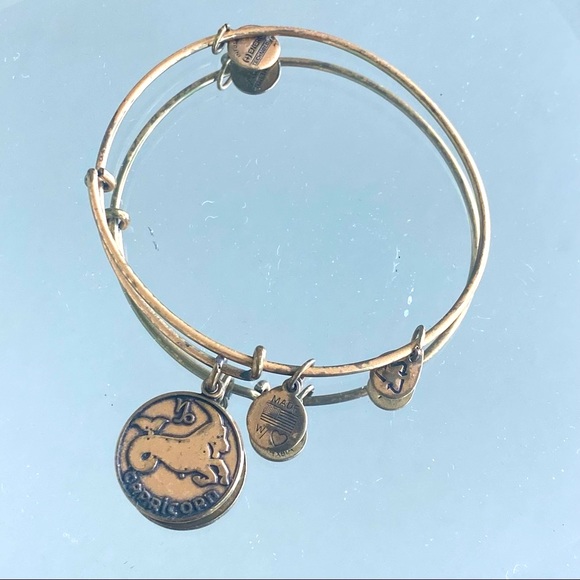 Capricorn Bracelet - Picture 2 of 5